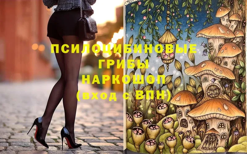 ссылка на мегу сайт  Красный Холм  Псилоцибиновые грибы MAGIC MUSHROOMS 